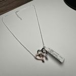 Interlocking Hearts Two Tone Pendant Crystal Necklace NWT $50 Kohl’s Silver Photo 7