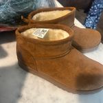 UGG Chestnut Suede Boots with Cream Lining Photo 1