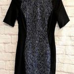 Elie Tahari  Fitted Midi Dress sz 2 Photo 0