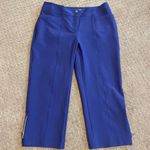 Tail Periwinkle Cropped Zippered Cuff Golf Pants Size 10 Photo 0