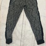 Jack by BB Dakota Jack gray jogger sweatpants Photo 4
