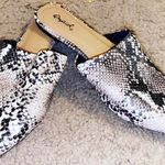 Red Dress Boutique Snakeskin Shoes Photo 1