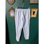 SKIMS  Classic Jogger Sweatpants Baby Blue Sz Small Photo 1