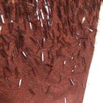 Gucci  2010 sequin lace dress Runway size IT38 US 2 Photo 5