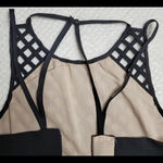 English Rose  Black Dress Photo 4