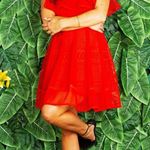 Maje Rosalie Sleeveless Puffball Mesh Dress RED SIZE 1/Small NEW Photo 3