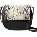Kate Spade Cameron Street Small Snake Byrdie Bag Photo 3