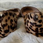 Sam Edelman Pointed Flats Photo 1