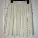 CHAPS Skirt Lace Size L Photo 0
