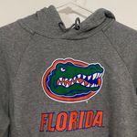 Nike Florida Gators College Football Hoodie Photo 1