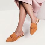 MUSSHOE Women's 8.5 US Tan Mules Comfortable Slip On Pointed Toe Flats Photo 0