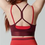 Fabletics  Double Layer Maroon and Red Sports Bra Photo 1