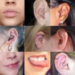 Silver Twisted Clicker Septum Hoop Photo 0