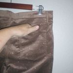 Loft 36x29 14 Velveteen Golden Polka Dot Modern Skinny Ankle Pants New! Photo 1