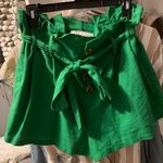 Lizard Thicket Green High Waisted Shorts Photo 0