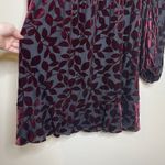 Adrianna Papell Women's Dress Burnout Velvet Holiday Whimsigoth Christmas Red Burgundy Leaf 16 Photo 5
