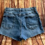 Wild Fable Women Distressed High Rise Mom Jean Shorts Size 10 Photo 1