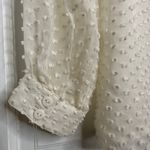 Beyond Vintage Swiss Dot V-Neck Long Sleeve Sheer Silk Top in White - Small Photo 11