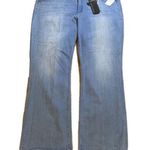 Diane Gilman  Women's Forever Lux Denim Jeans Slim Boot Plus Size 26W Slimming Photo 0