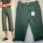 DL1961  Hepburn High‎ Waist Crop Wide Leg Jeans Photo 1