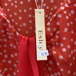Esley FINAL MARKDOWN NWT ladies  dress small Photo 4
