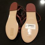 Ted Baker 💕 LONDON💕 Mathar Flat Studded Gladiator Sandal ~ Dark Brown 38.5 NWT Photo 13