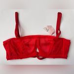 Free People NWT We Are HAH Wired Red Sheer Bralette in Blood Orange Size 30 Photo 2