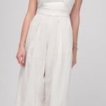 Anthropologie Jackie Strapless Jumpsuit Photo 4