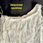 Shimmery Silver Flapper 20's Vibe Costume Photo 3