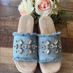 Anne Klein  Blue Embellished Mules Photo 1