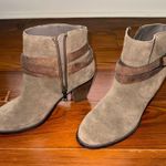 Steve Madden  Brown Short Boots Photo 2