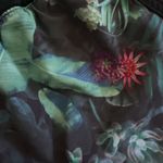 Lululemon Inflected Highlight Multicolor  Flowers  Hotty Hot Shorts Size 4 Photo 4