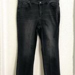 Loft Womens Jeans Denim Washed Black Gray Demi Boot Frayed Cut Hem Size 14 Photo 0