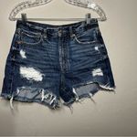 American Eagle AEO 90s Boyfriend High Rise Denim Distressed Jean Shorts Photo 2
