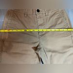 J.Crew Tan and Blue Striped Chinos Photo 7