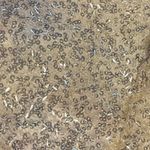 ZARA NWT  Silver Sequin Ivory / Cream Halter Top Size Small Photo 9