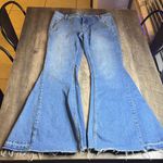 We The Free  Light Blue Fit and Flare Jeans Photo 2