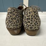 Lucky Brand erreka leopard Animal Print oxford, size 7 37.5 Pointed Toe Heeled Photo 3