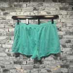 No Boundaries EUC  Mint Green Shorts w/ Draw Cords Size L (12-14) Photo 1