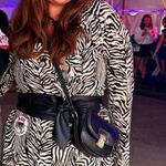 ZARA   Ruffled Zebra Print Dress Photo 2