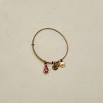 ALEX AND ANI Rose Swarovski crystal October birth stone charm Bracelet Photo 1