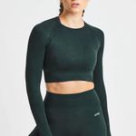 AYBL Forest Green Seamless Workout Set Photo 0