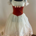 Small Tulle Costume Dress Photo 0