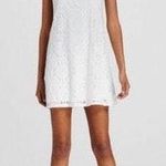 Target Lace White Mini Dress Photo 0