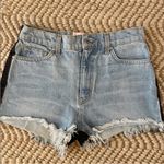 Revice Denim  Two Toned Shorts Photo 2