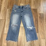 Vervet Flying Monkey Puntcual High Rise Distressed Dad Jeans Photo 1