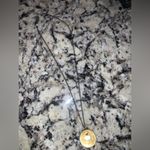 Alexis Bittar  Oval amber Lucite Pendant Necklace sterling silver pearls fall Photo 6