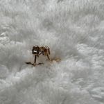 Gold Tone Ear Jacket Earrings With Rhinestone Accent, Stud‎ Earring Back Photo 2