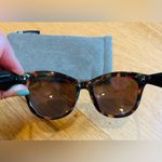 PEEPERS Tortoise Shell Cat Photo 1