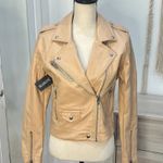 BLANK NYC NWT Moto Semi-Fit Jacket In Head To Toe Small Photo 5